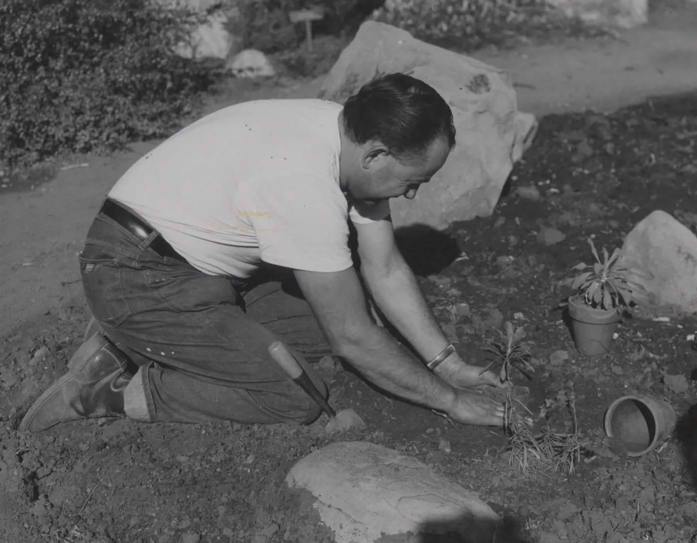 Jose Torres, Groundsman