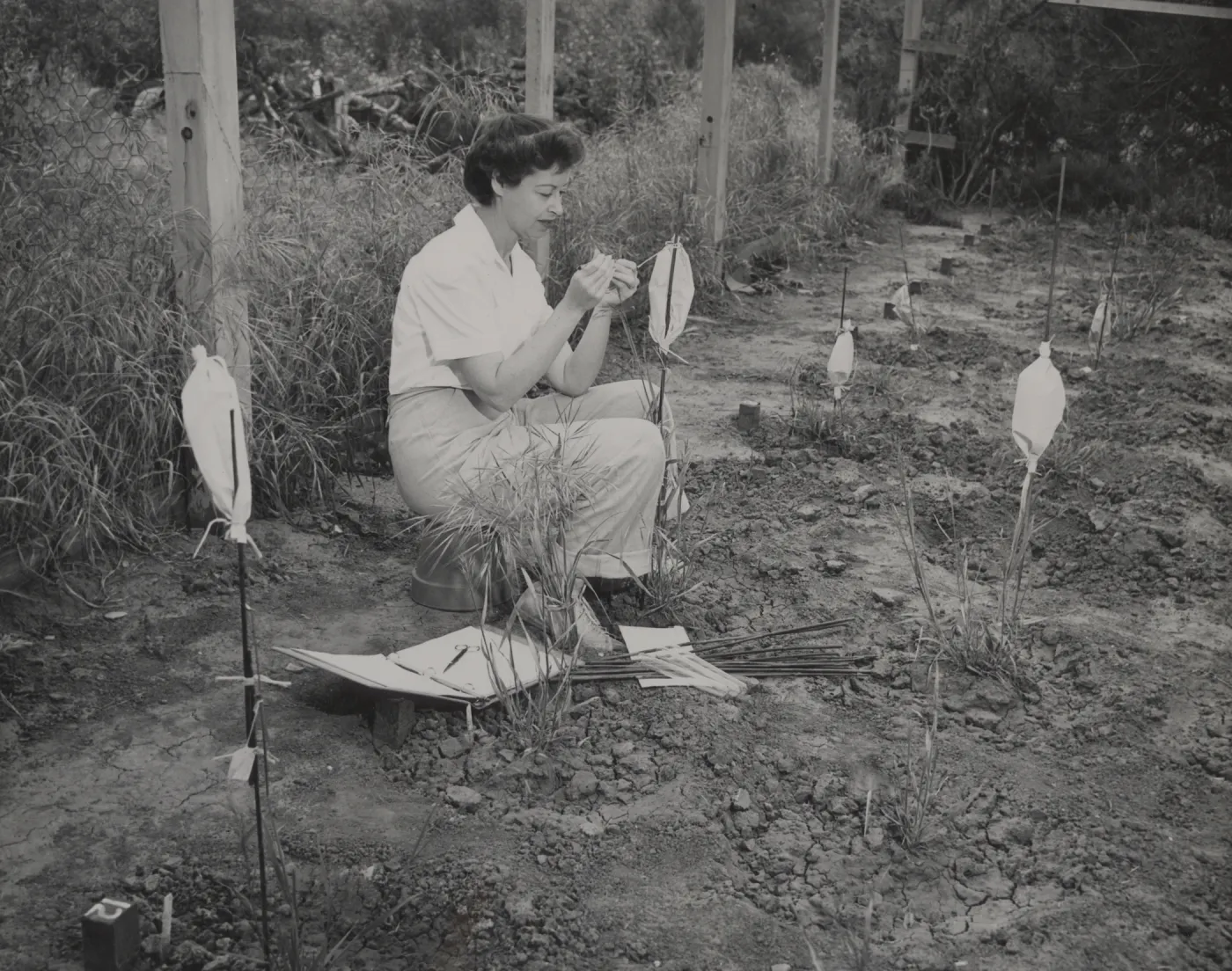 Dr. Marta Walters, 1952