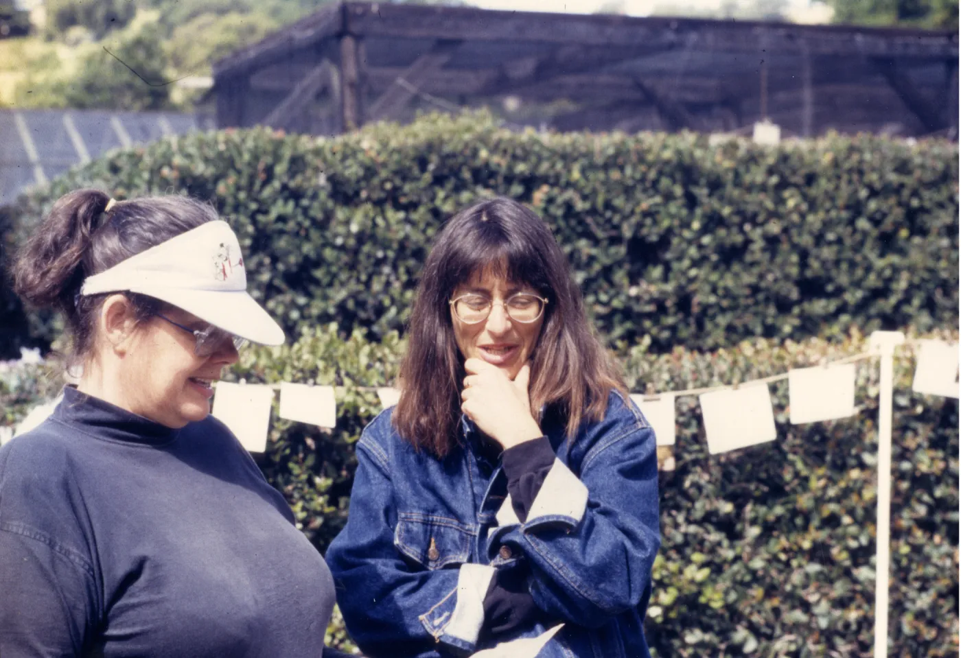 Carol Bornstein at plant sale