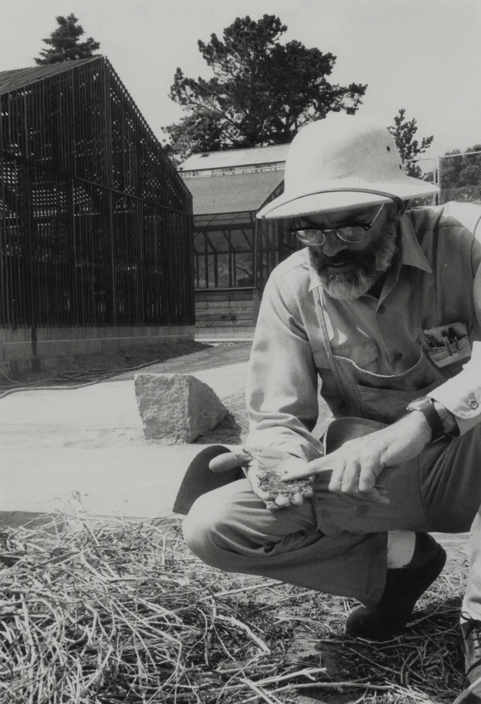 Dara Emery Horticulturalist