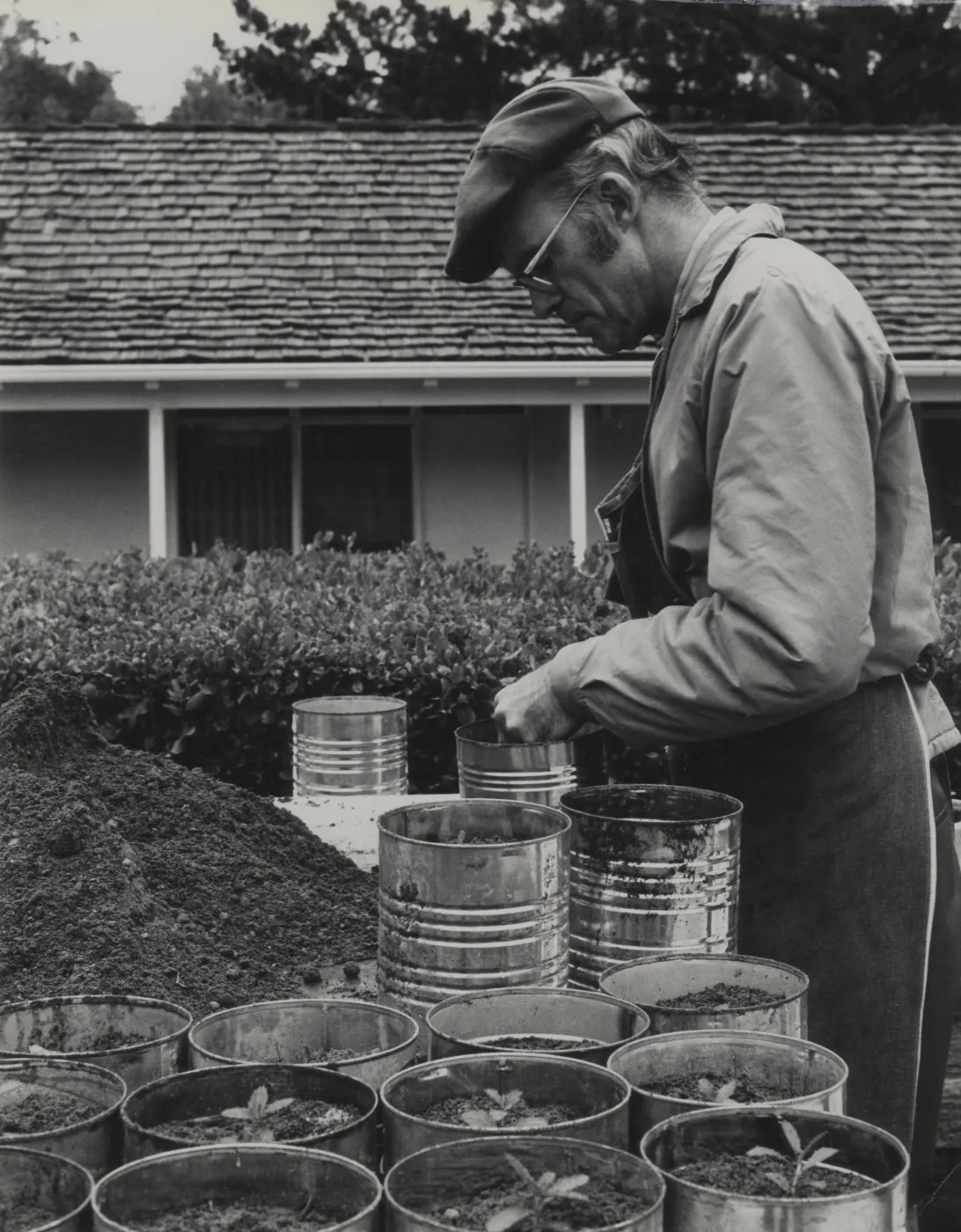 Dara Emery propagating plants