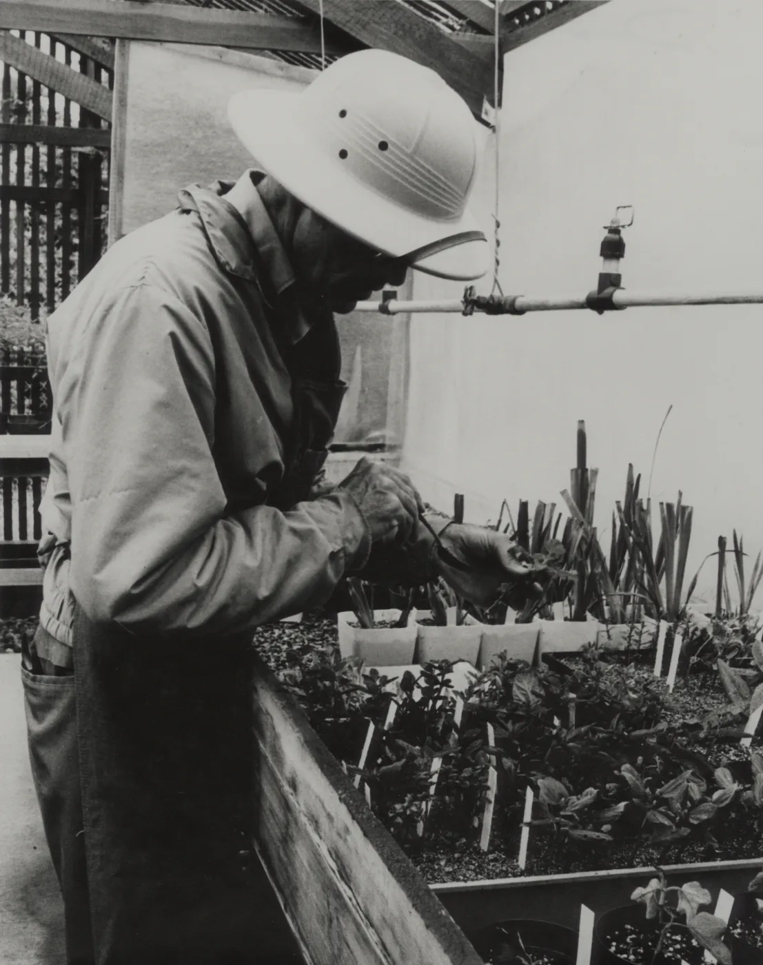 Dara Emery Horticulturalist Propagating Plants