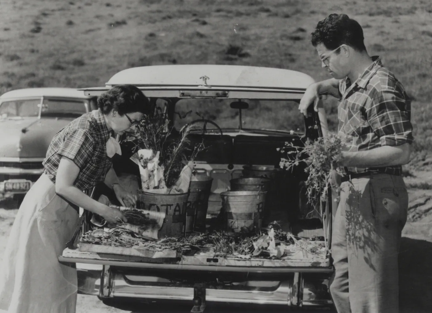 Clifton Smith and June Hopkins collecting specimens