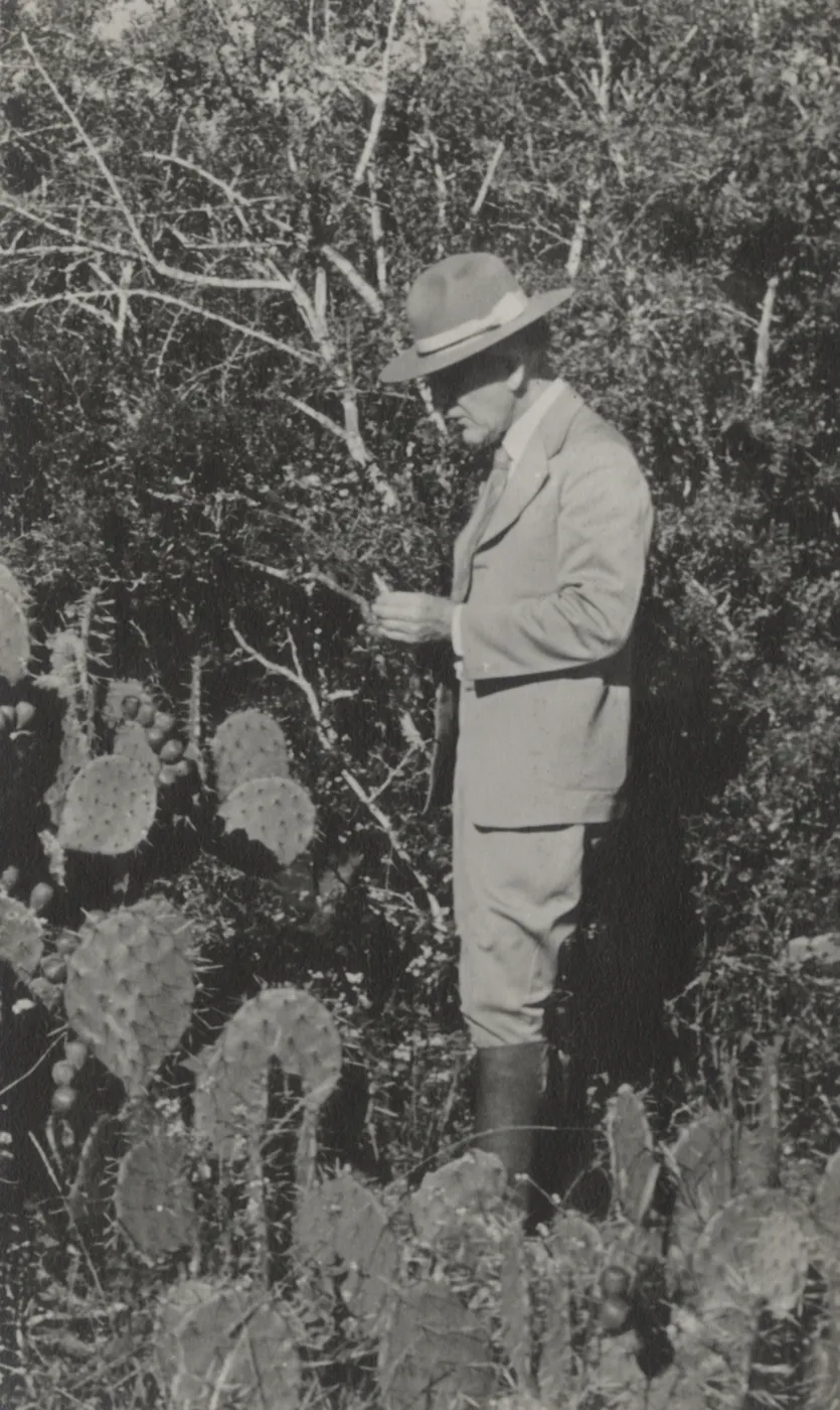 Dr. Frederic Clements