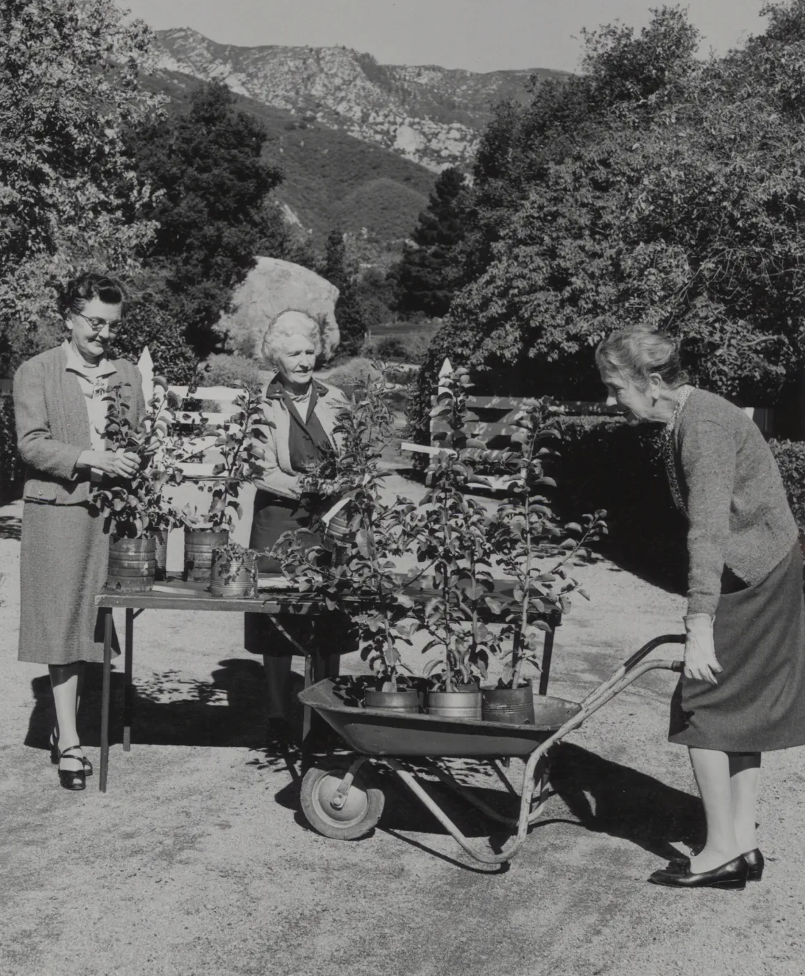 Polly Thomas and Mrs. B. Croft-Atkins