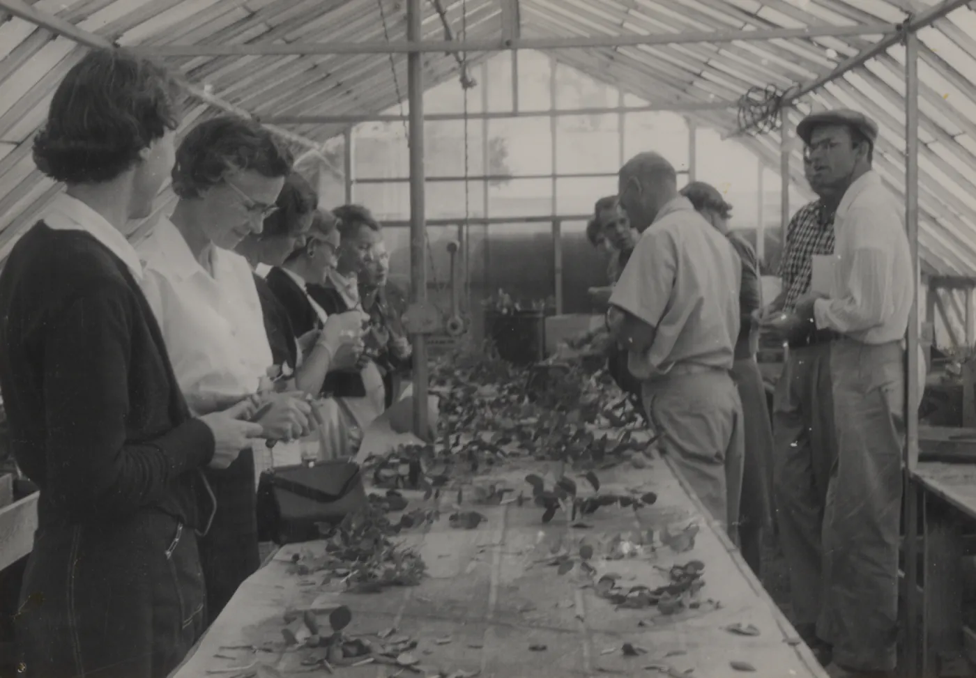 Plant Propagation Class taught by Dara Emery, 1961