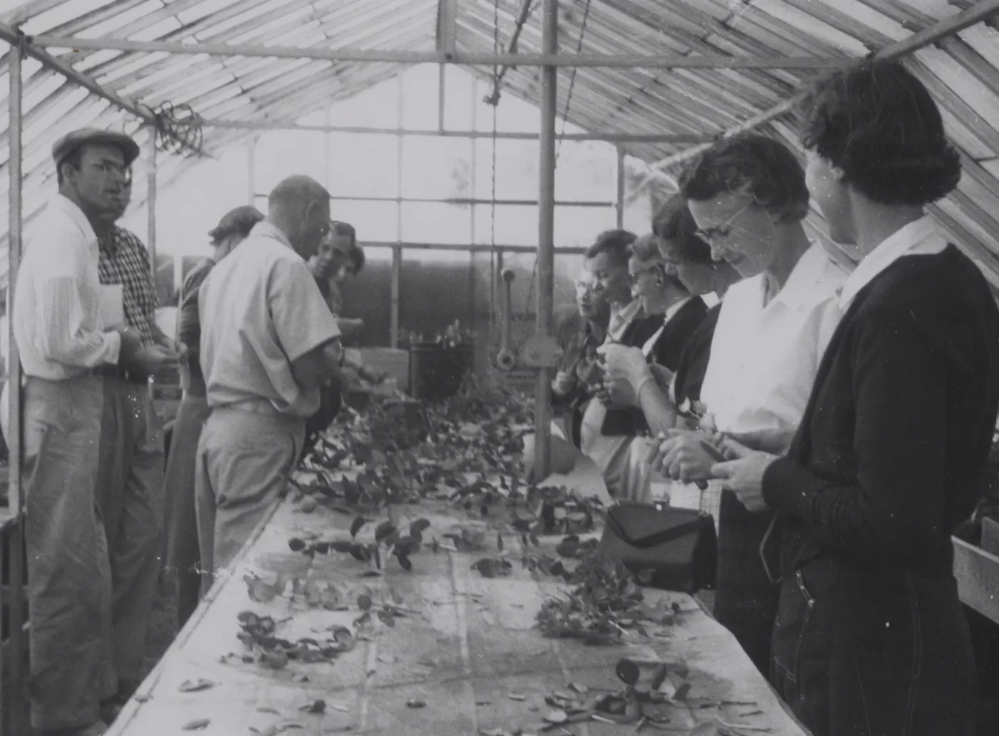 Horticulture Class taught by Dara Emery, 1961