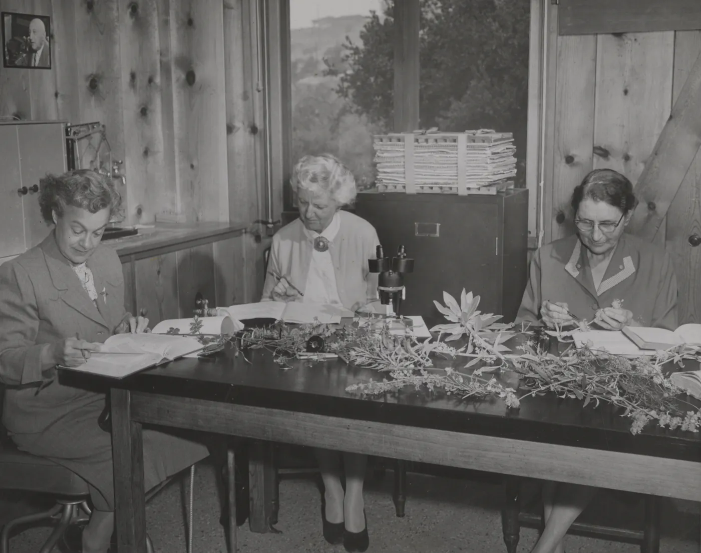 Plant taxonomy class, 1956