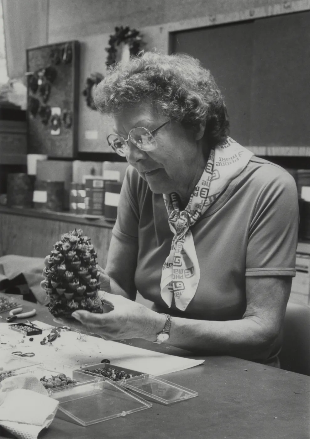 Garden Guild pinecone craft