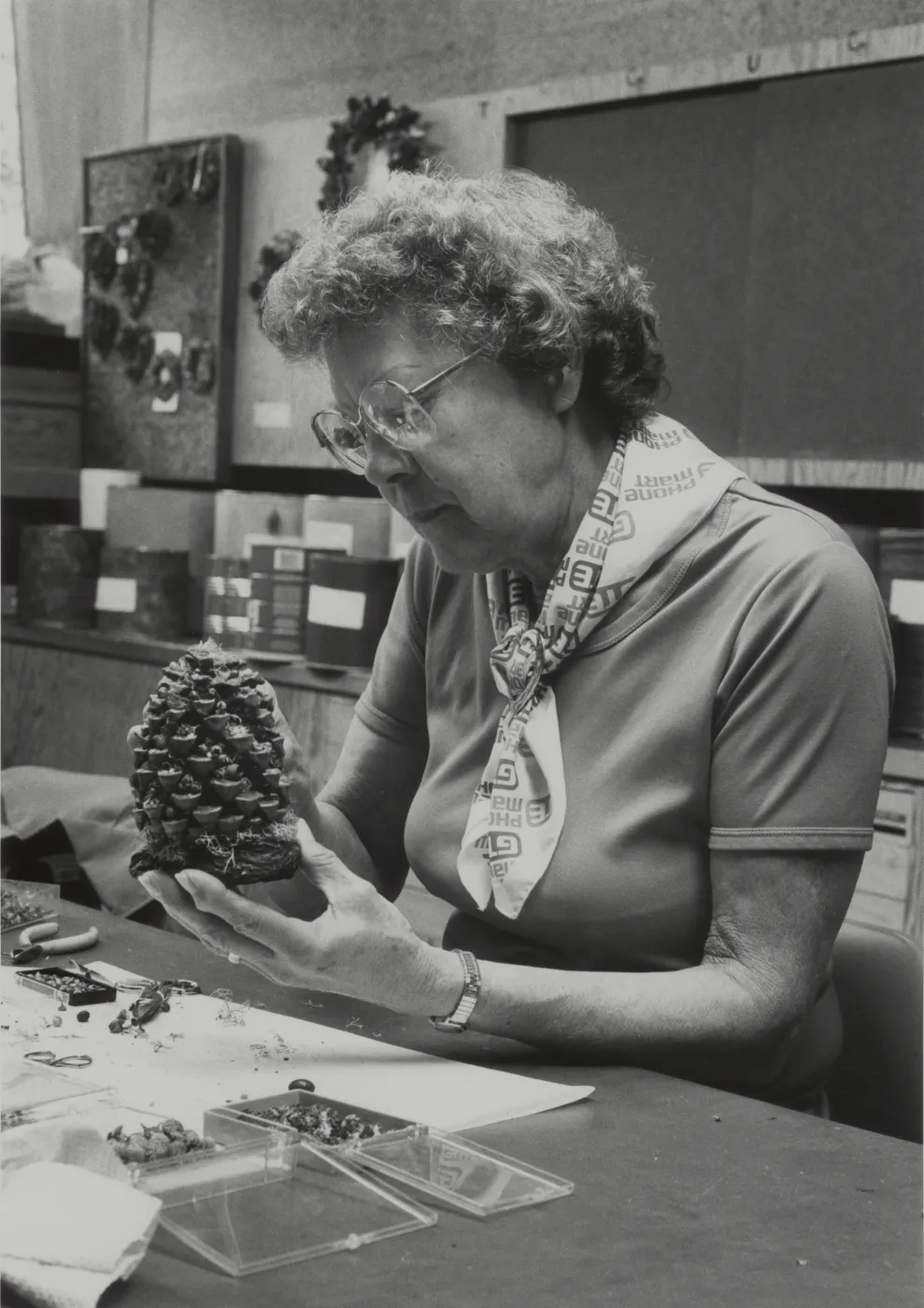 Garden Guild pinecone craft