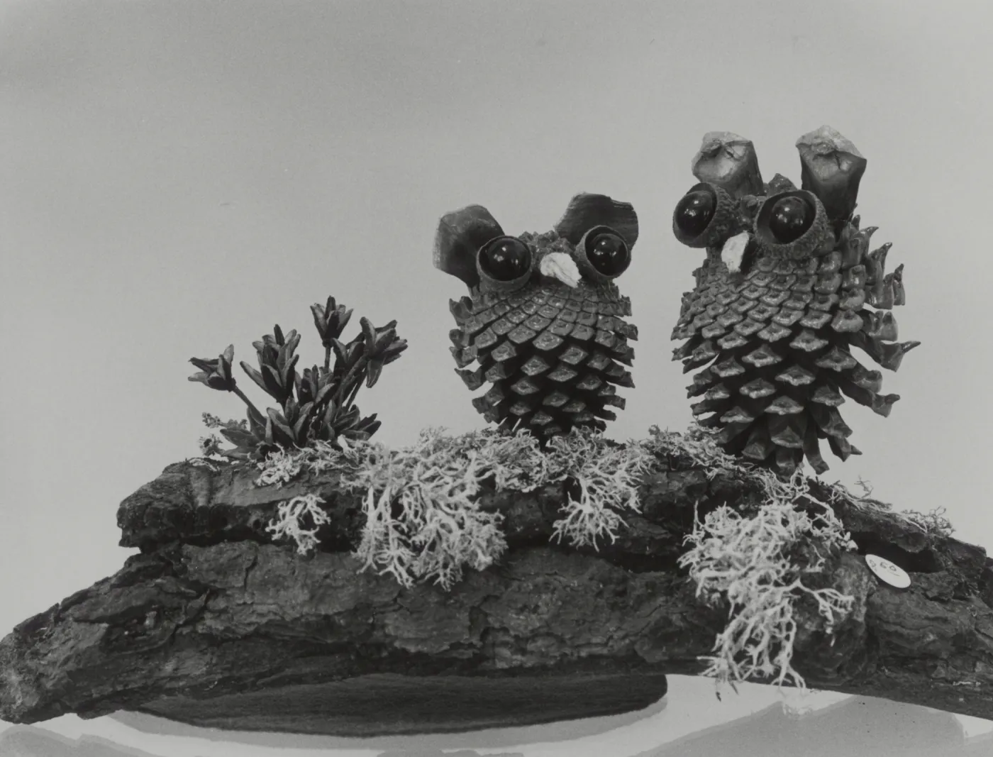 Garden Guild 'Owls' artwork