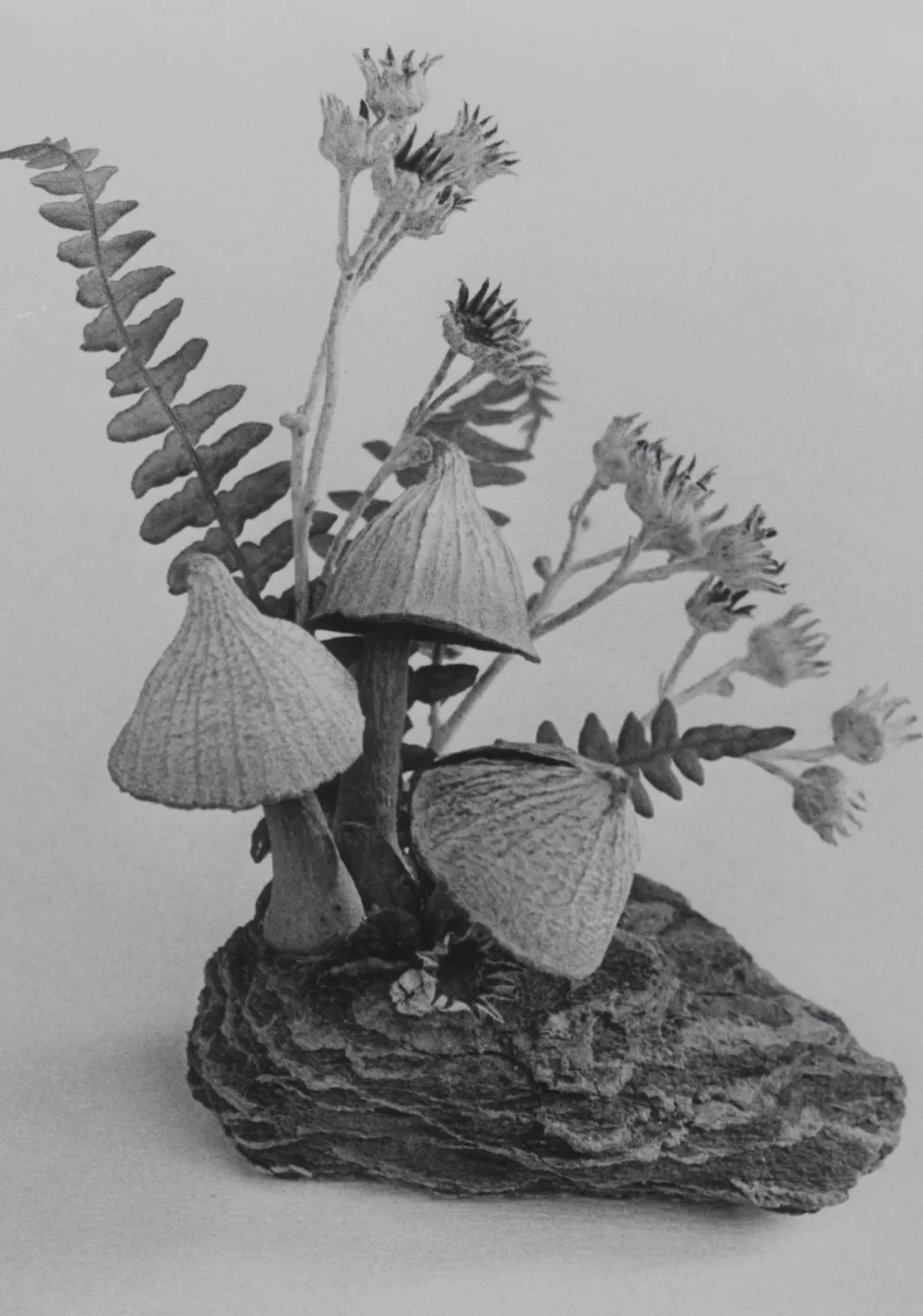Garden Guild artwork