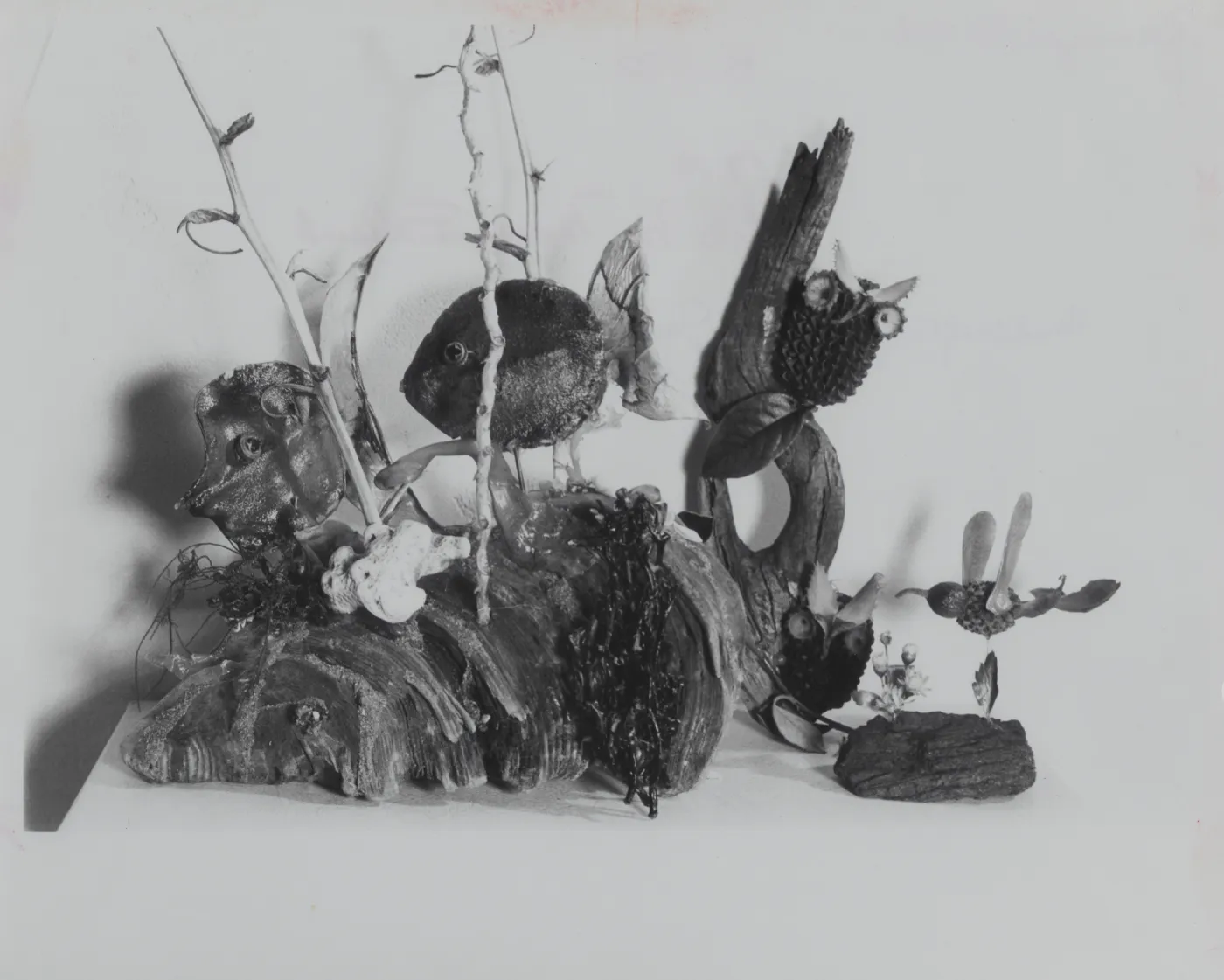 Garden Guild 'Fish' artwork