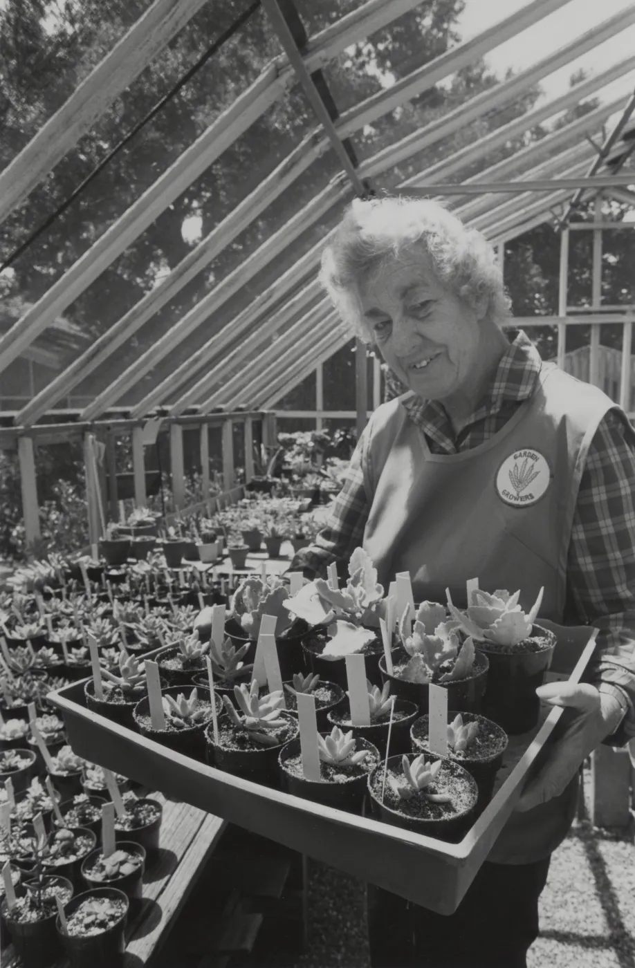 Tove Herlow, Garden Growers