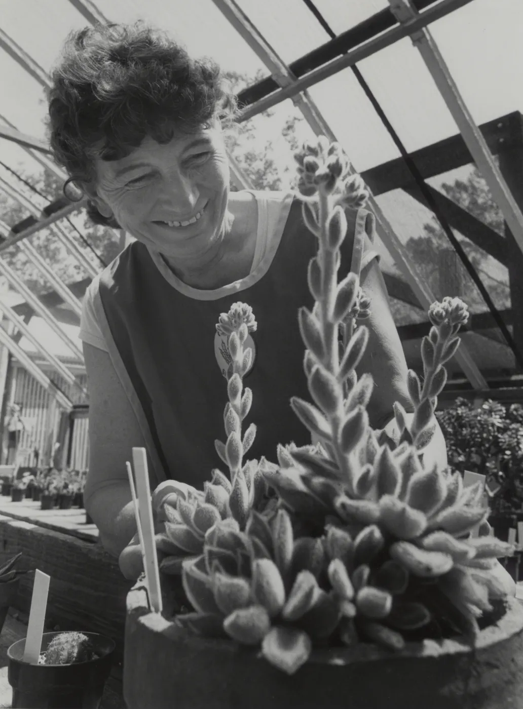 Garden Grower, Jean Palmer-Carpinter
