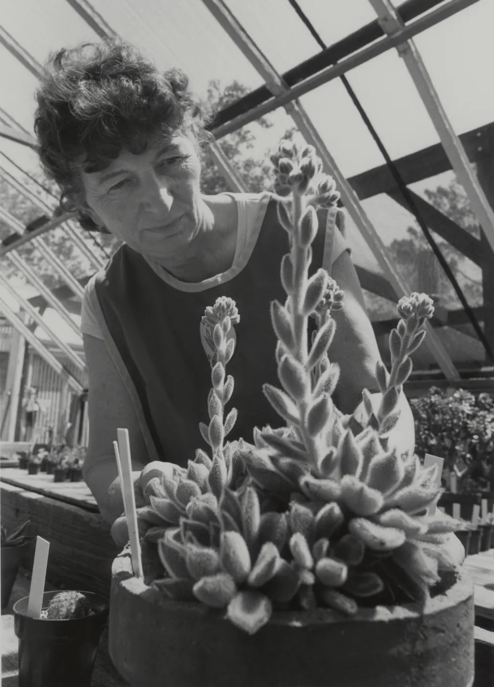 Garden grower, Jean Palmer-Carpinter