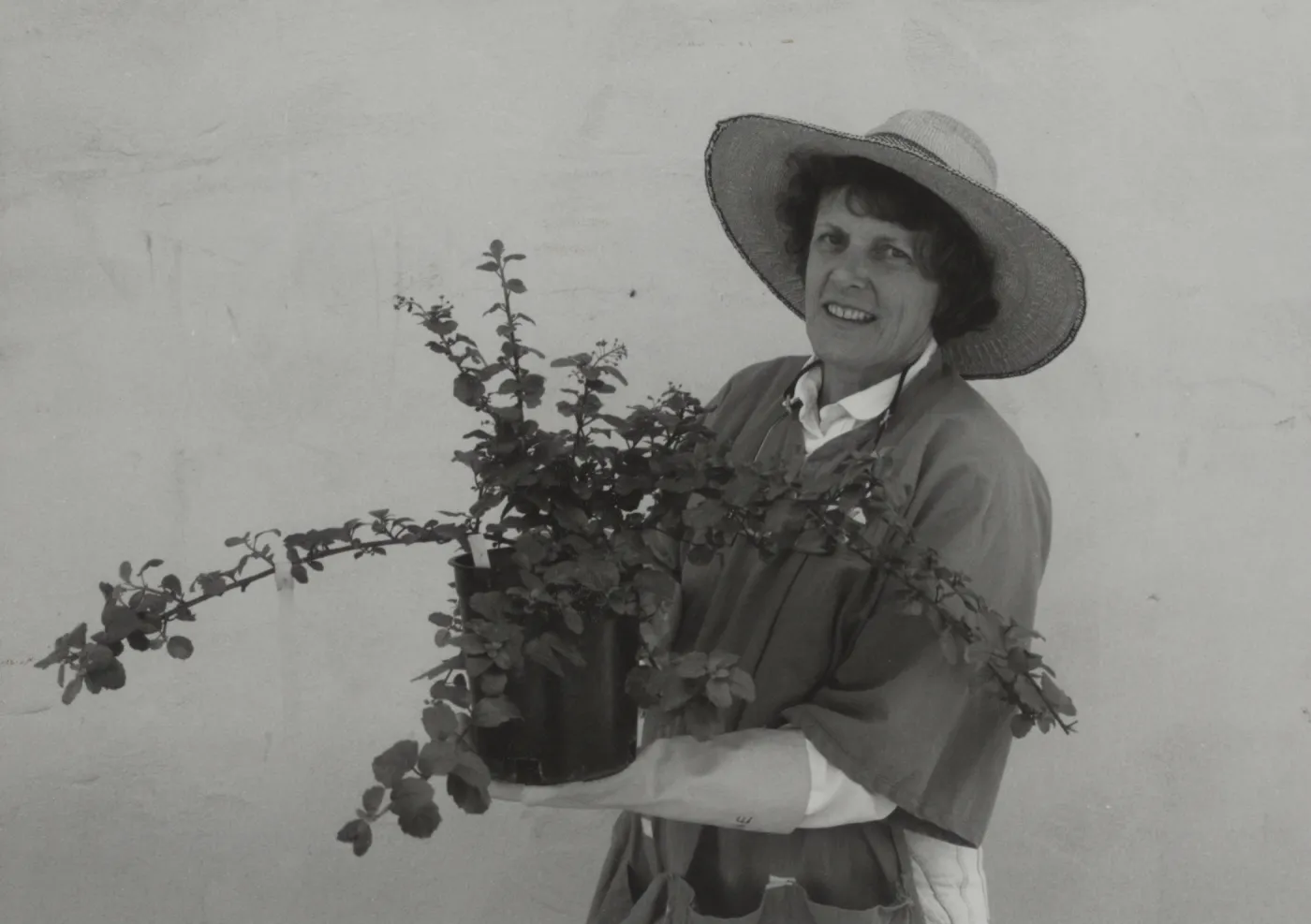 Bettine Wallin, Garden Growers