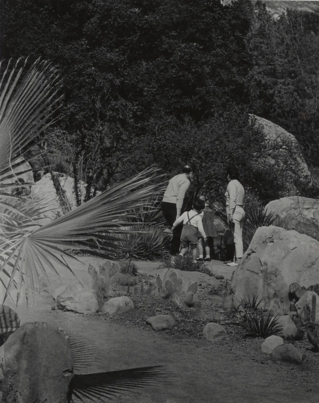 Visitors at Santa Barbara Botanic Garden