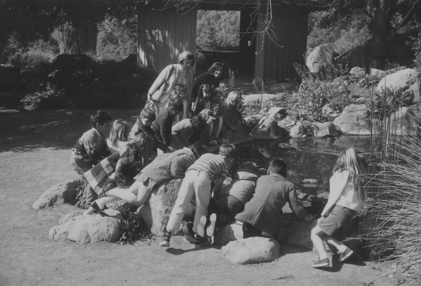 School children enjoying the pond at the Garden