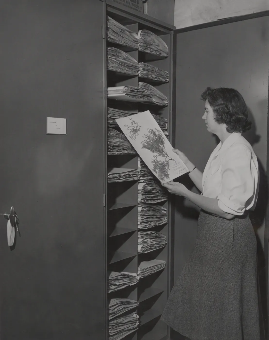 Mrs. J.B. Wheeler in the new Herbarium