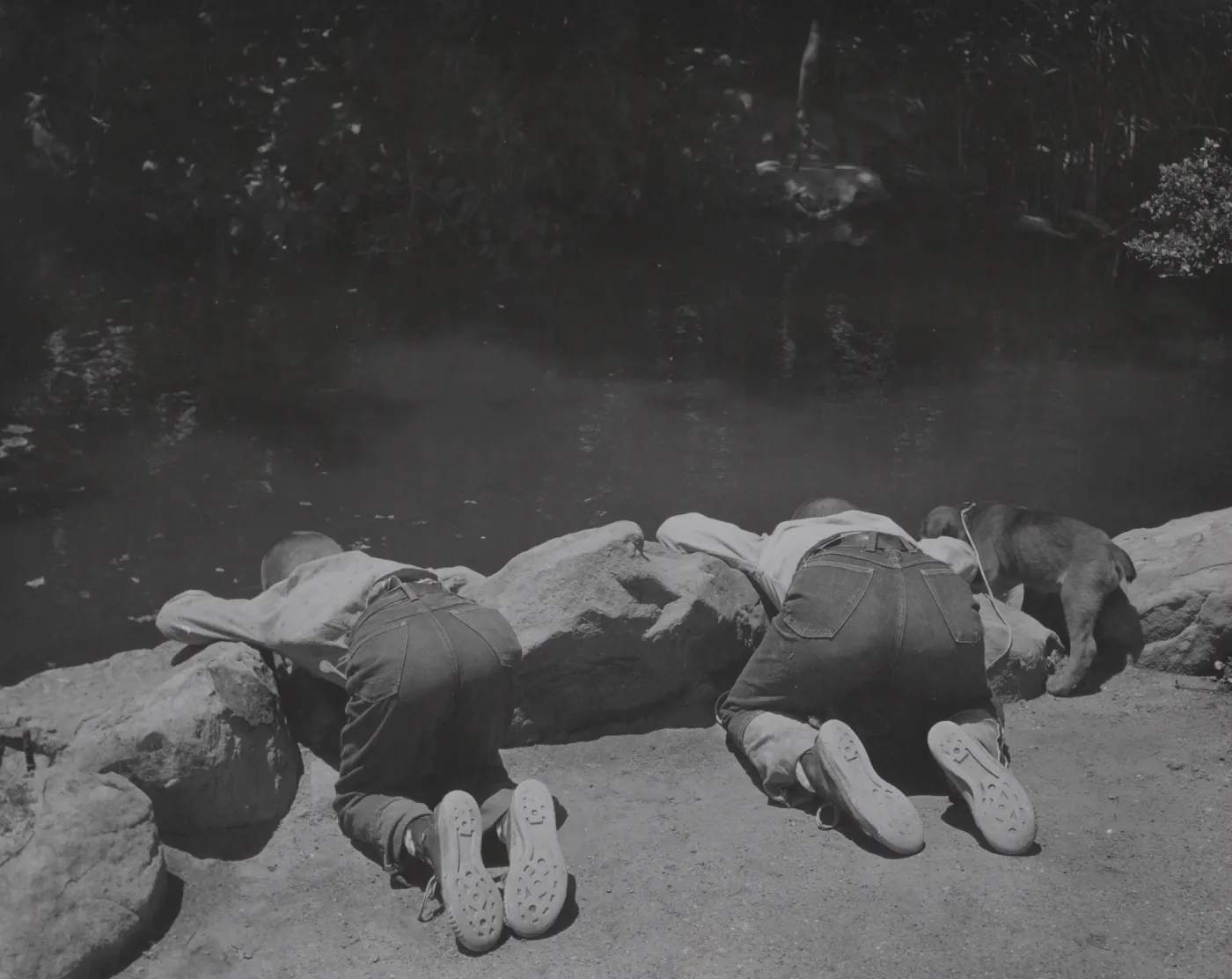 two boys with puppy at the pond