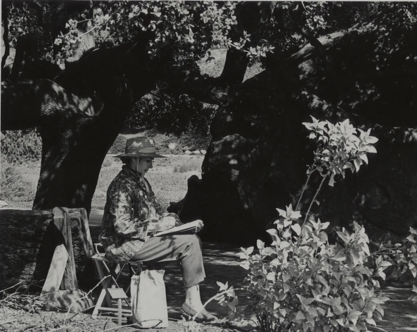 artist in the Garden