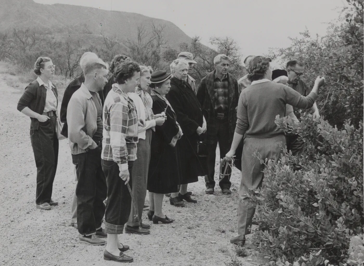 Katherine Muller field trip to the Santa Ynez mountains, 1956