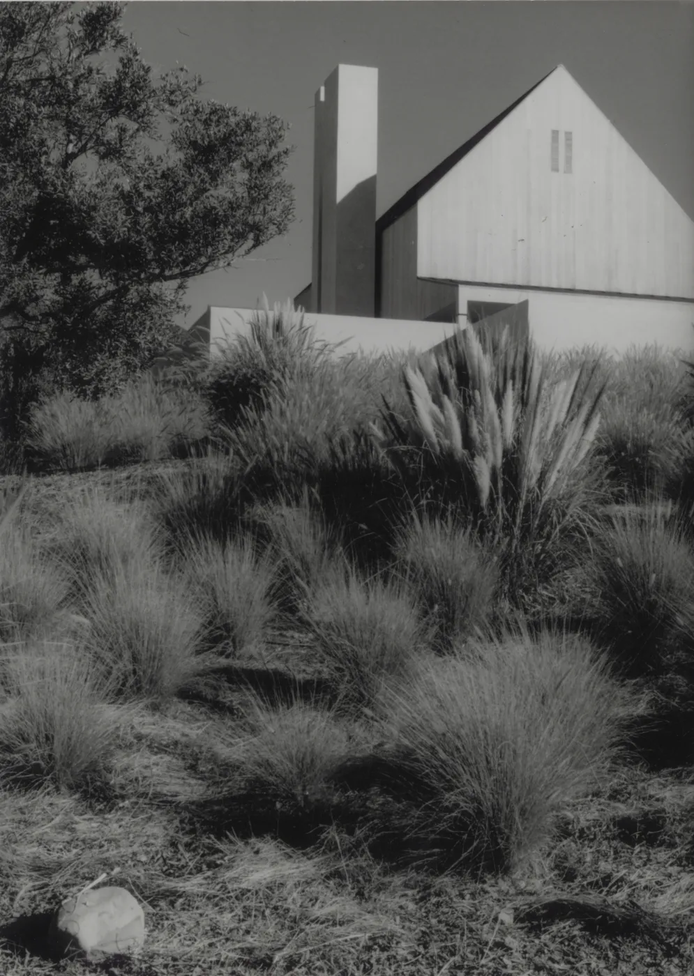 Joan Radditz garden design
