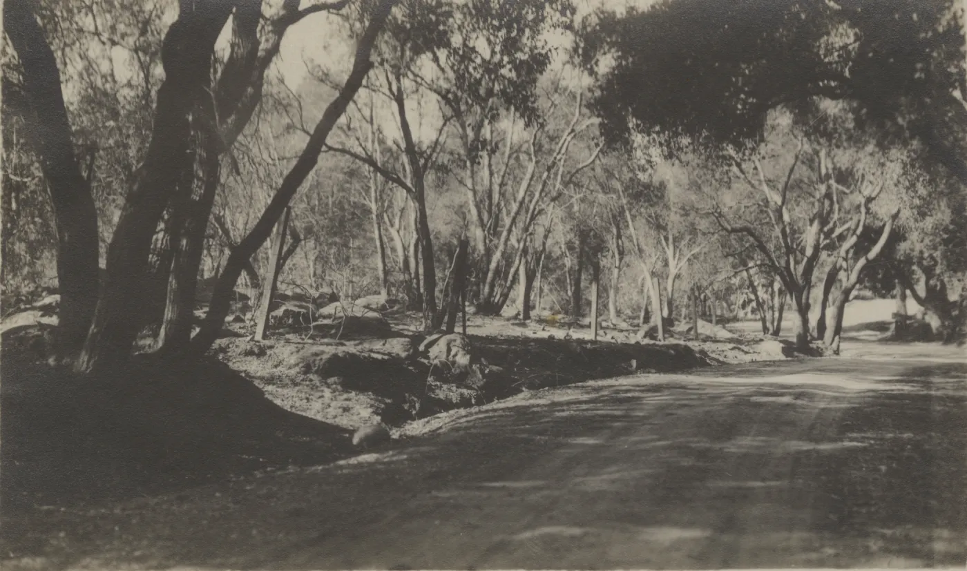 Mission Canyon Road after burn, 1917