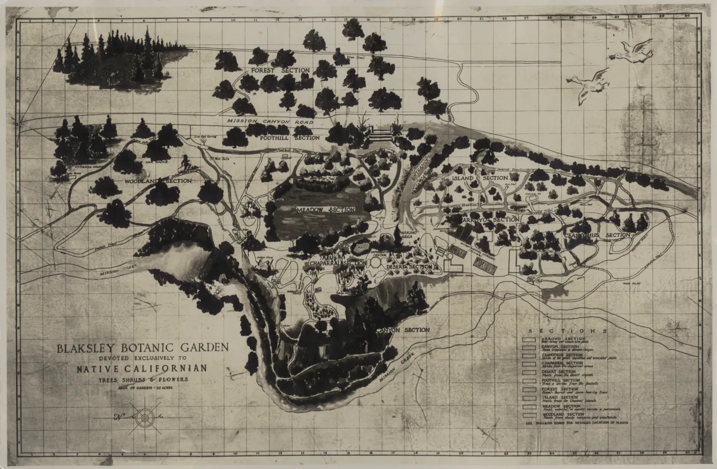 SBBG map, Blaksley Botanic Garden 1937