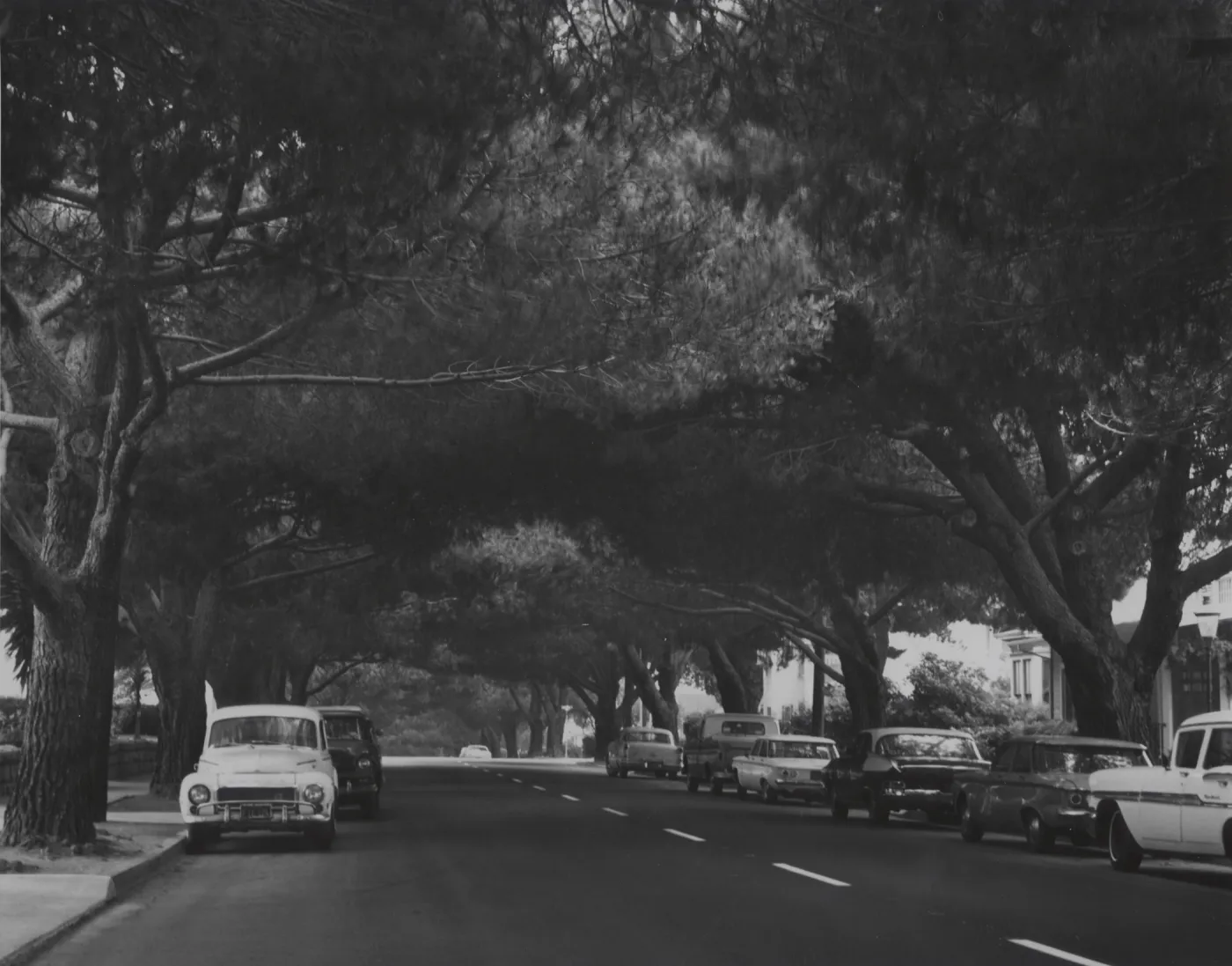 Santa Barbara city street