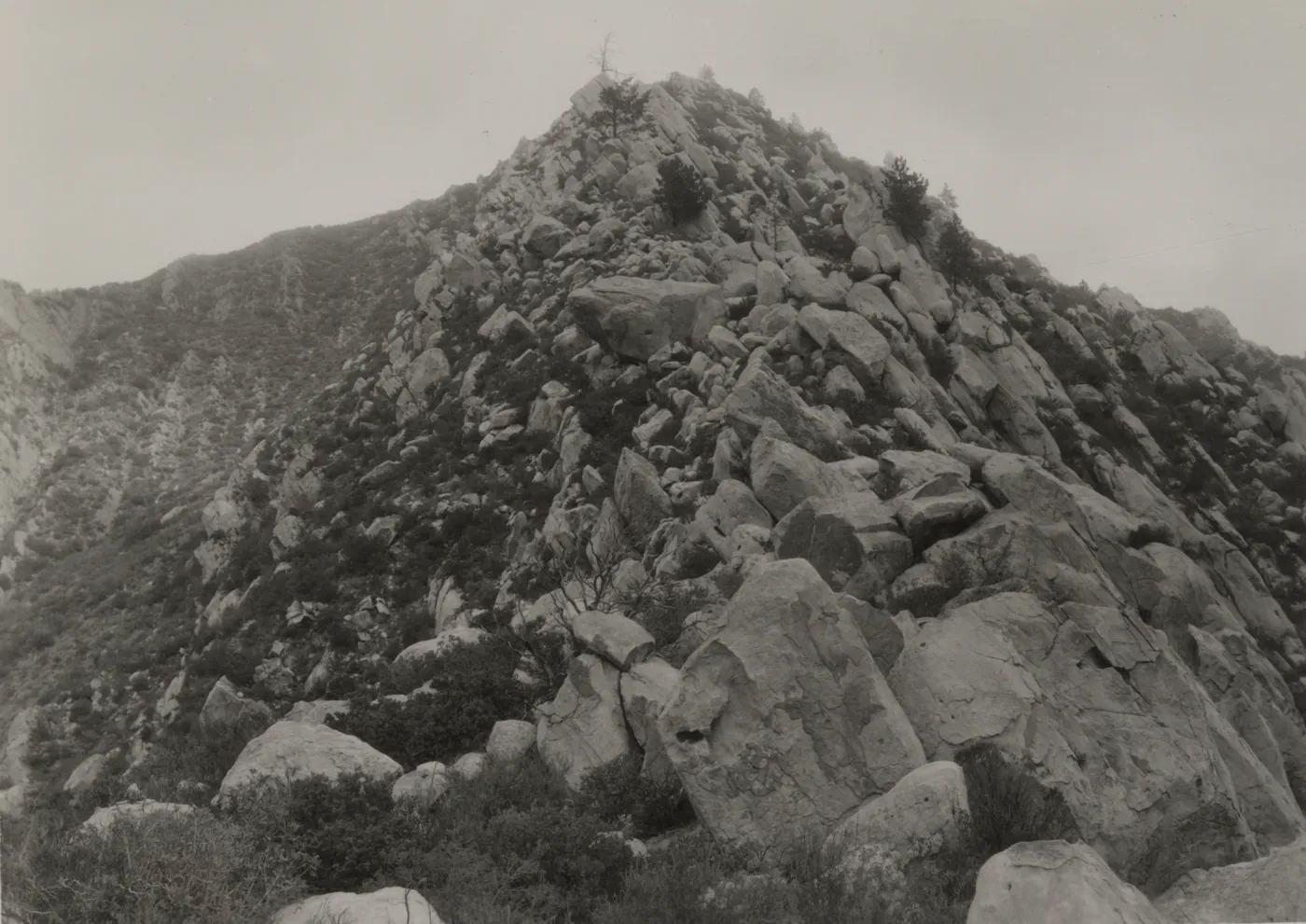east face of ridge forming Point of Pines