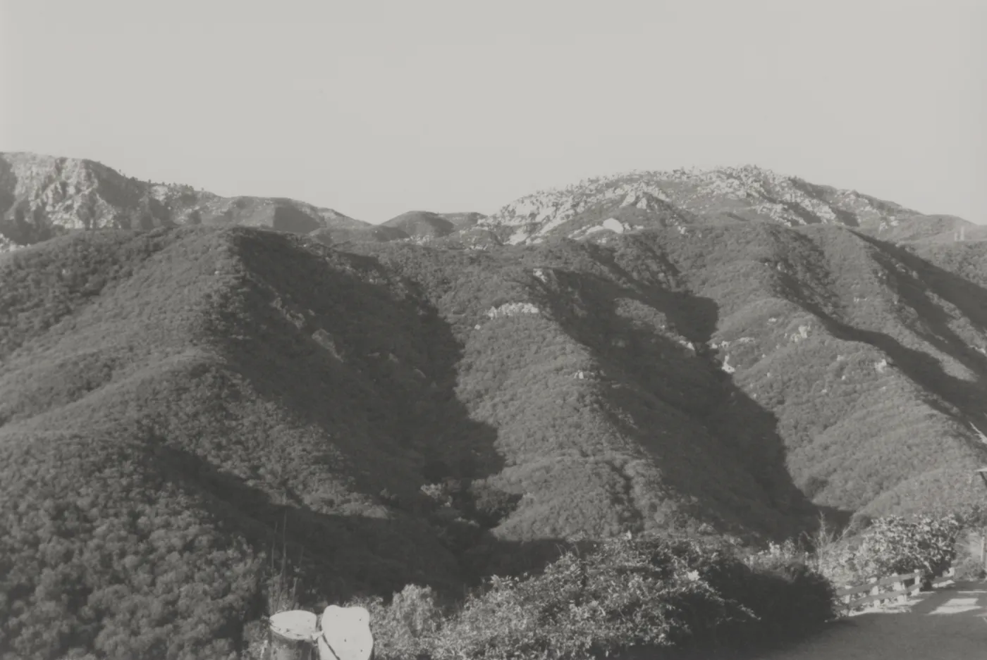 Chaparral slopes above Mission Canyon