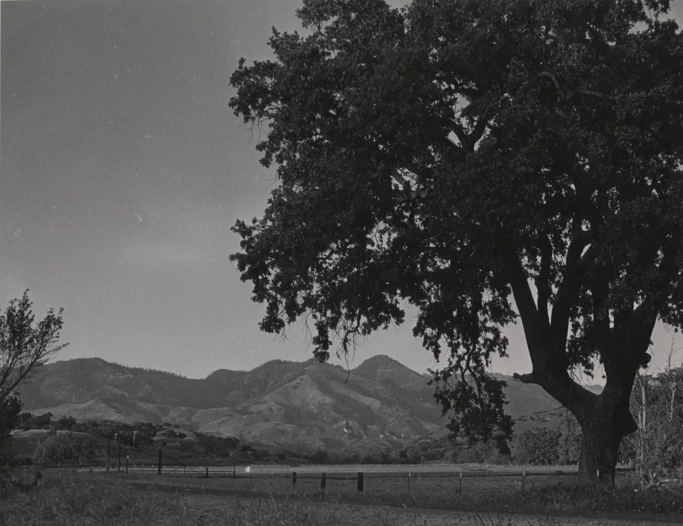 Santa Ynez Valley