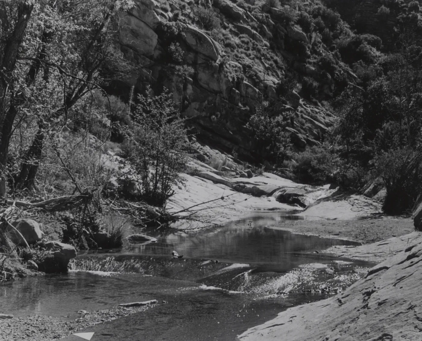 Sisquoc River at Rattlesnake Creek