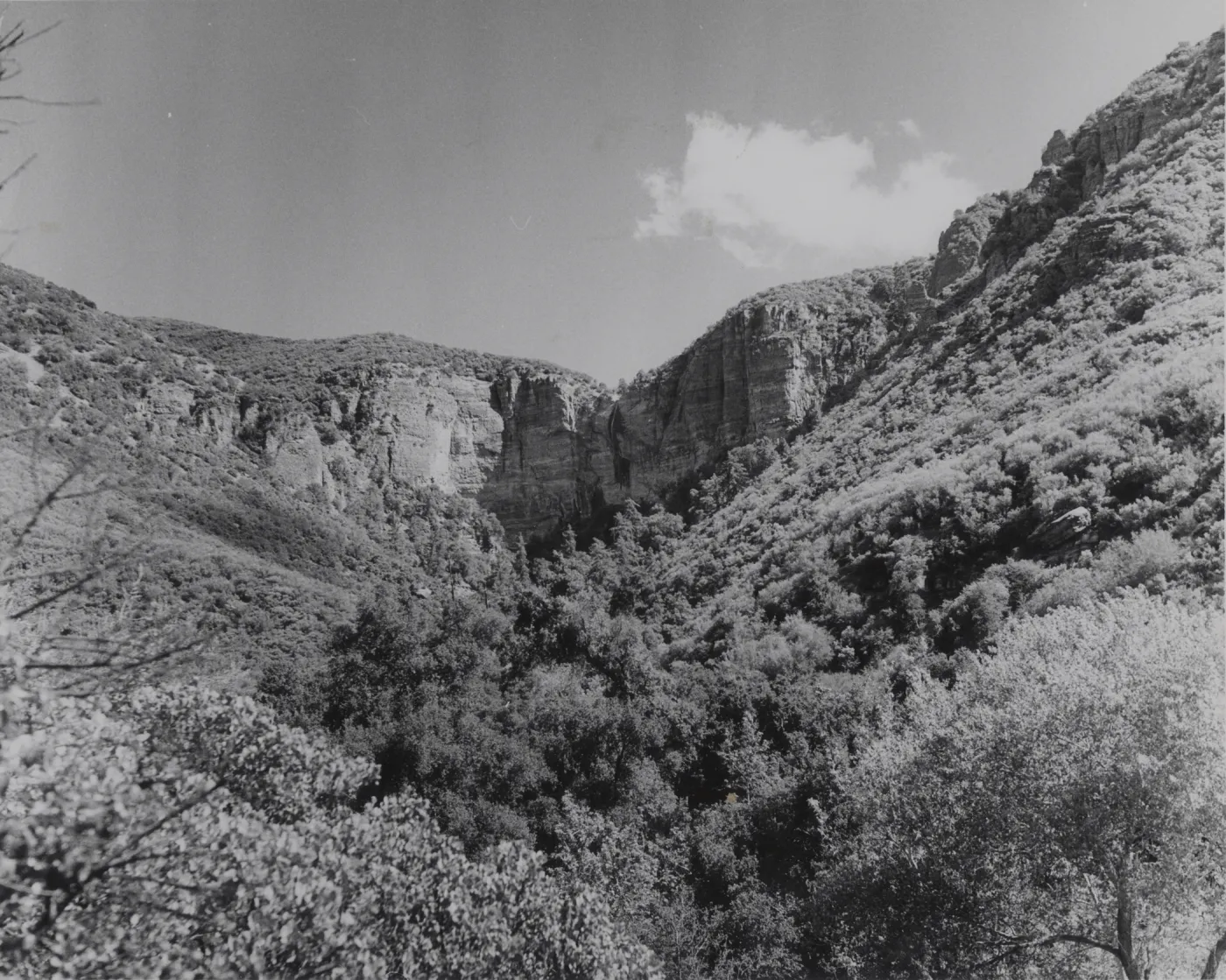 Falls Canyon Escarpment