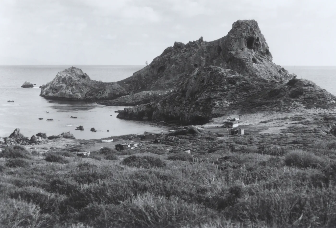 Baja California, © William Dewey