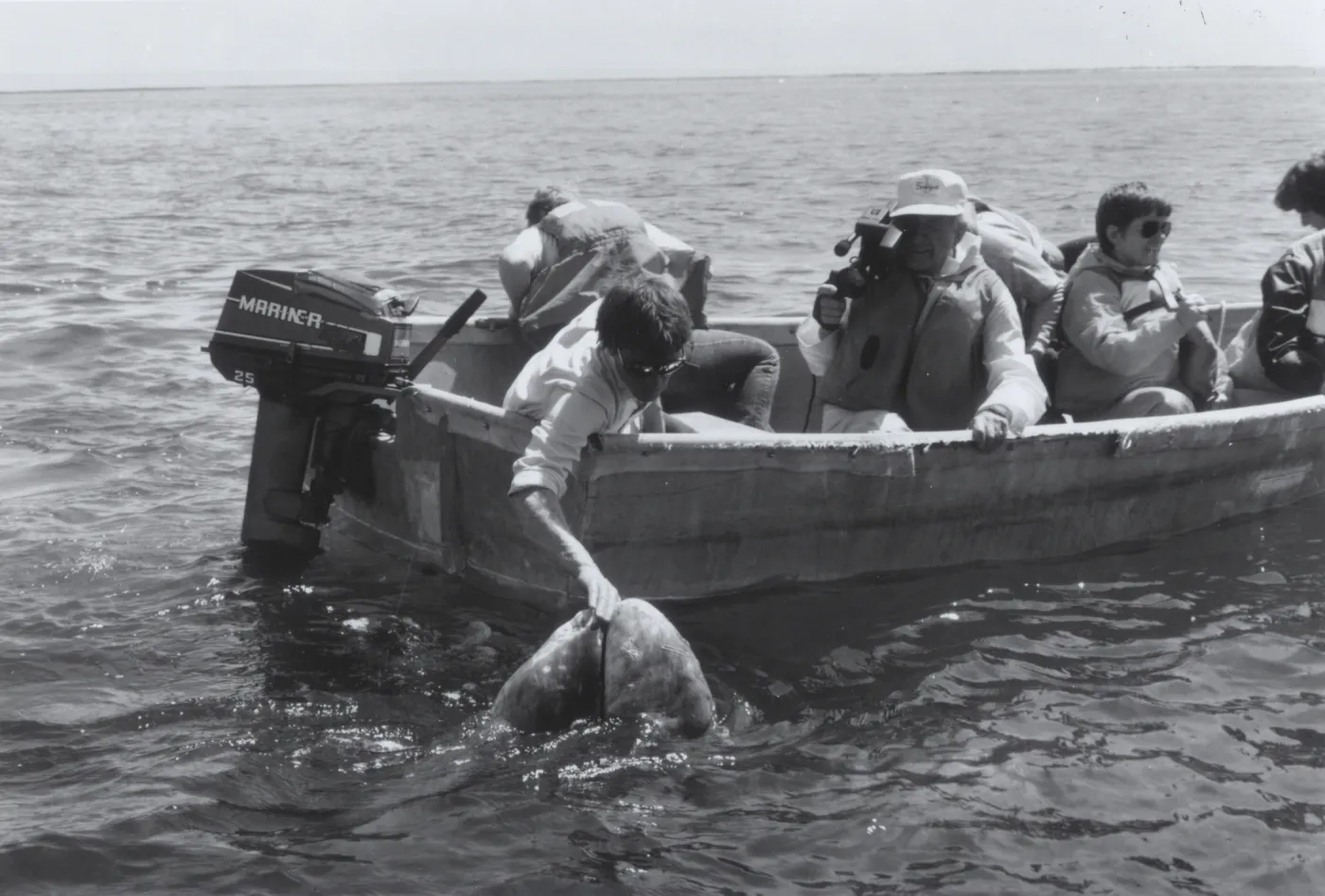 whalewatching in Baja, © Marla Daily