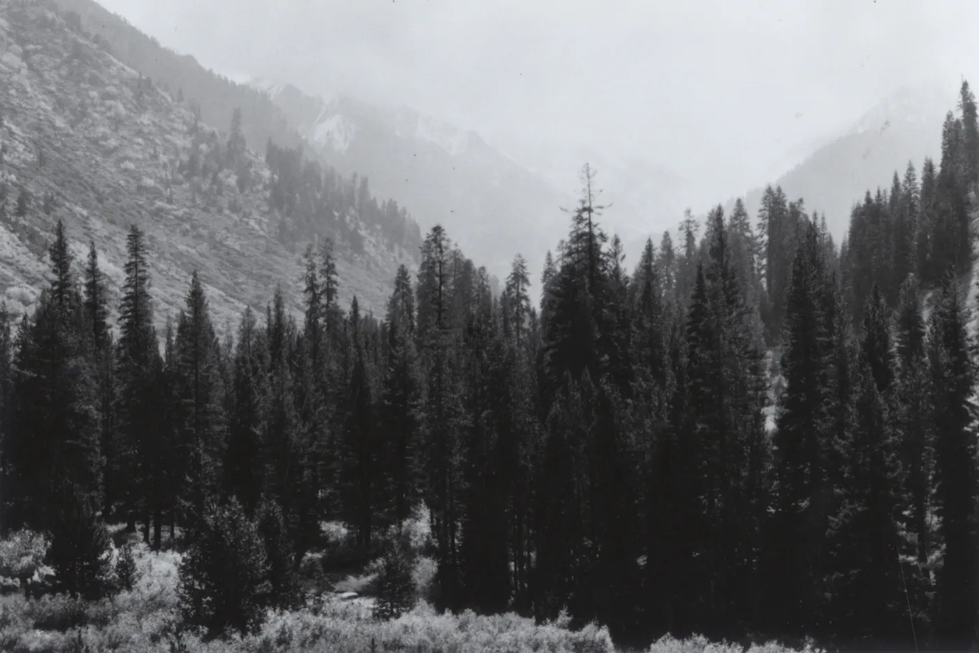 southern Sierra wilderness
