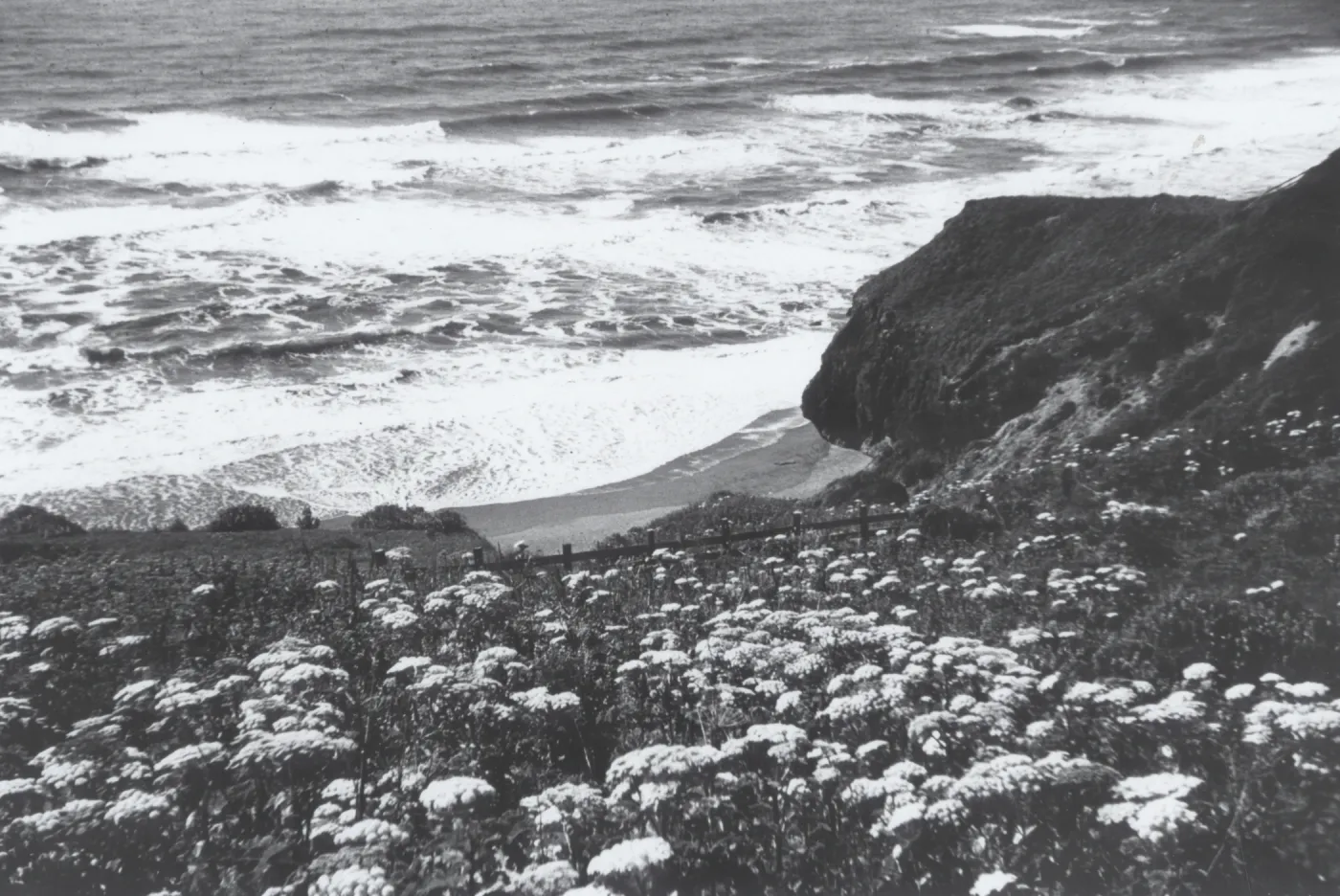 Mendocino Coast, © J.R. Haller