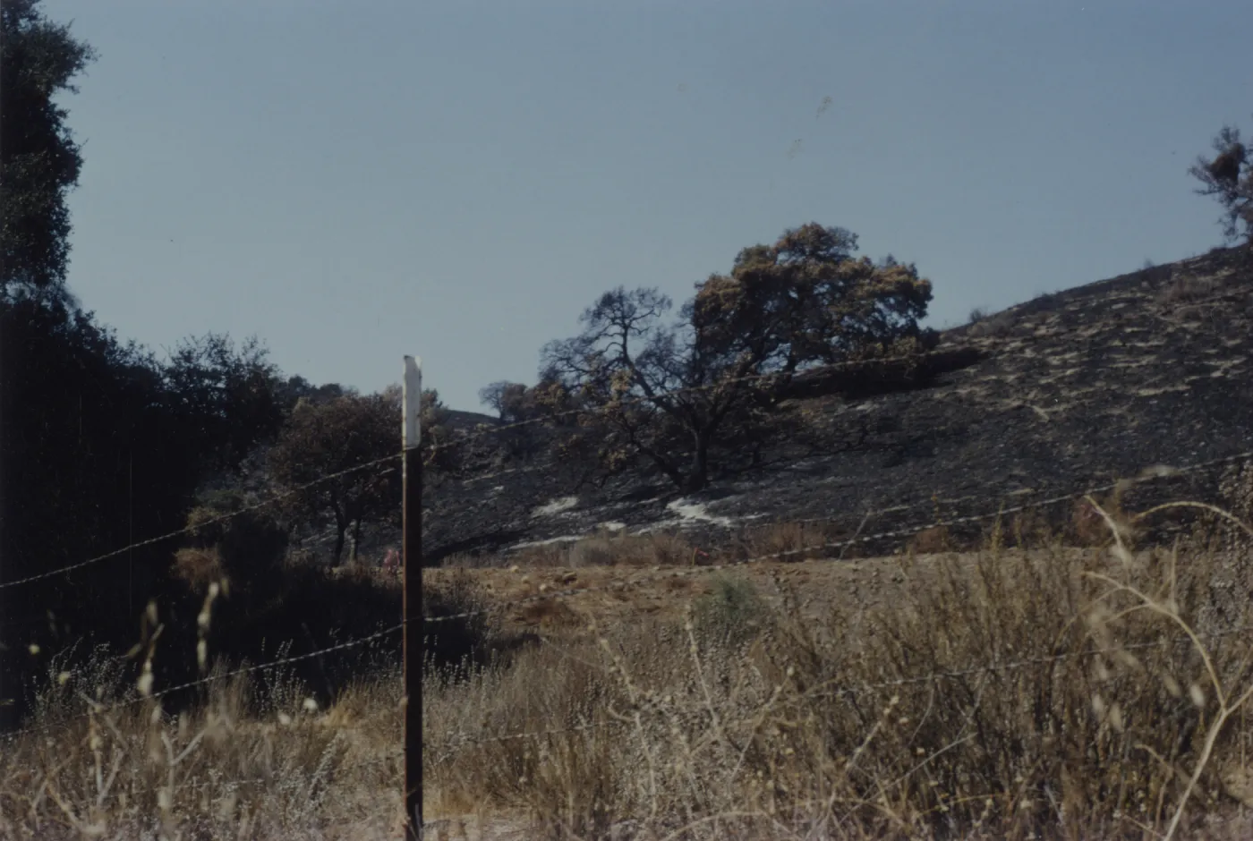 burrend slope after the Marre Fire