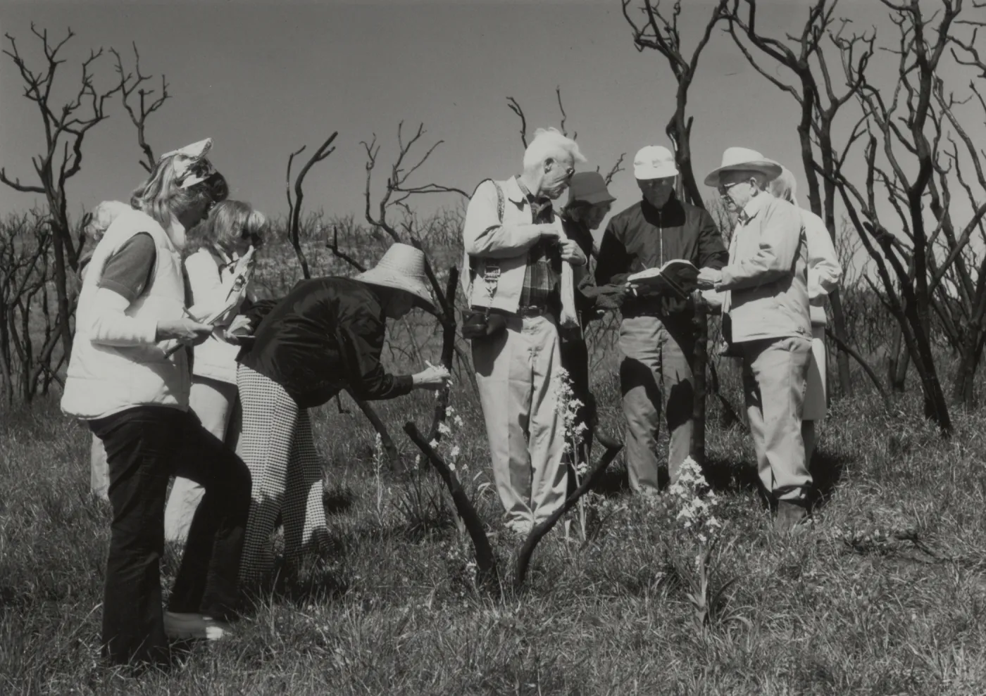field trip to Malibu burn 1982, © J.R. Haller
