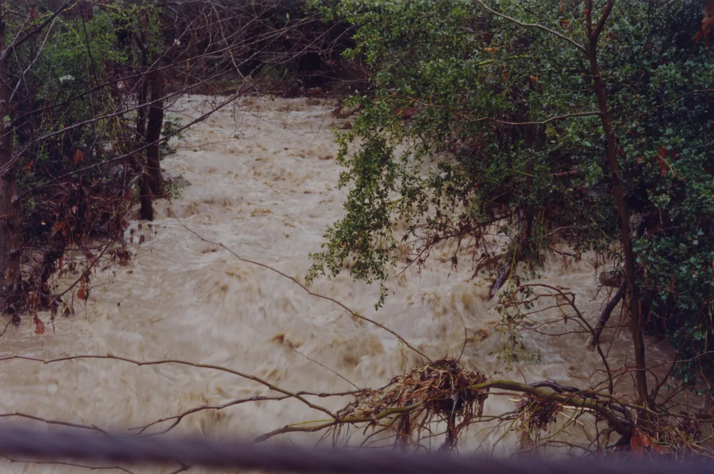 Mission Creek below Mission Dam