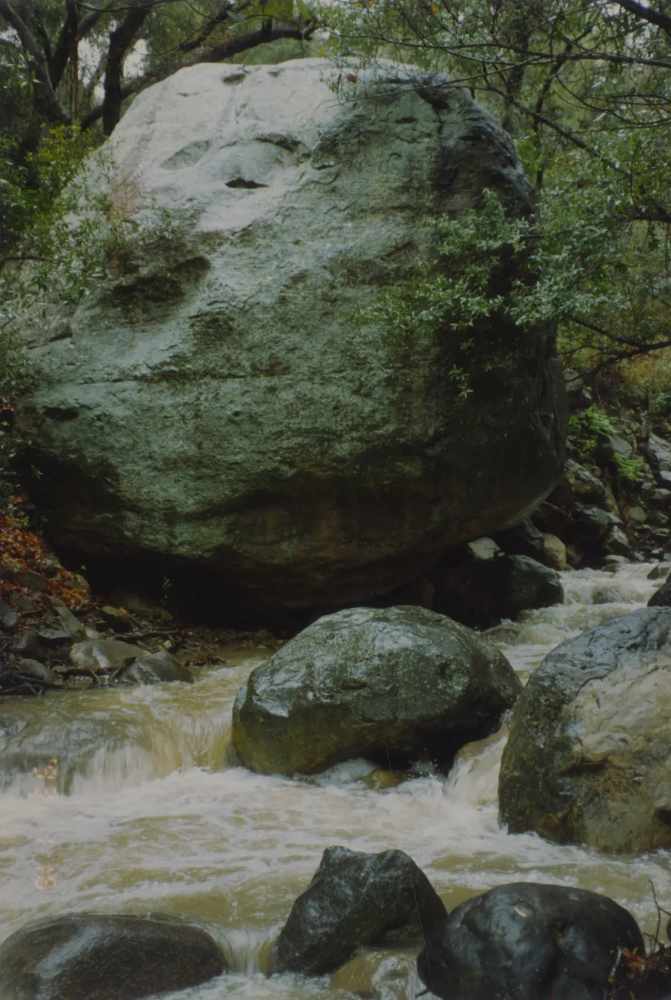 Large boulder along Mission Creek