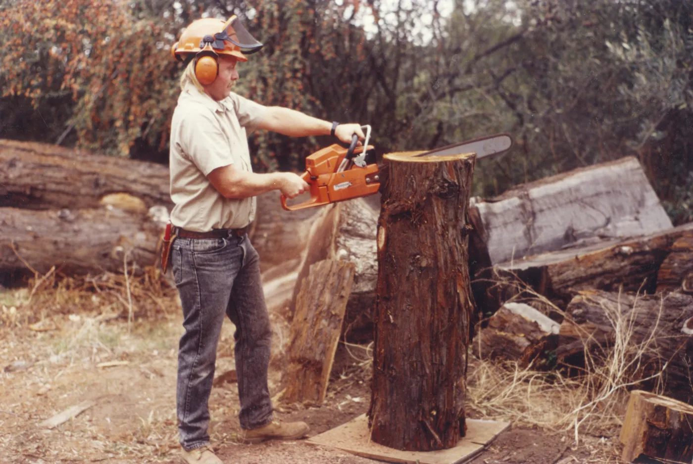 Dave Kershaw using a chainsaw to create a new wood bench