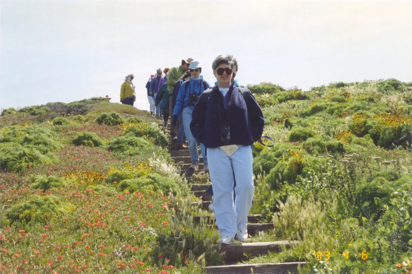 SBBG Field Trip to Anacapa Island