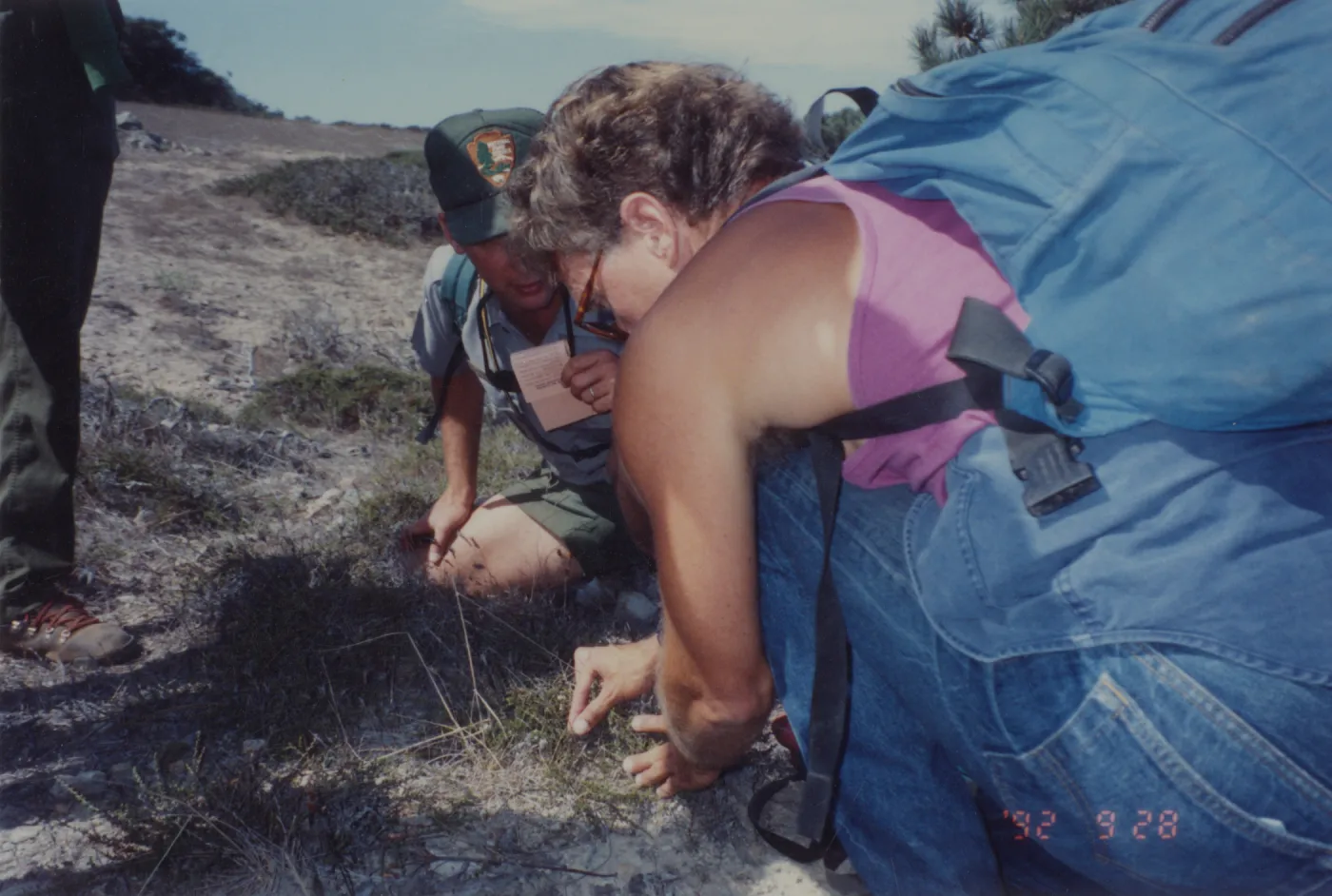 Steve Junak examines a plant on Santa Rosa Island with ranger Bill Faulkner