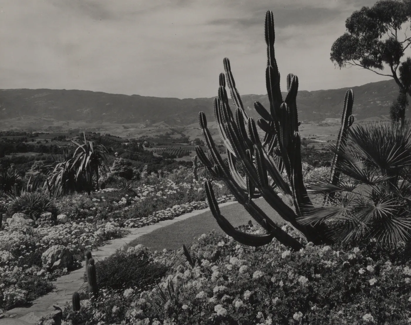Hope Ranch garden