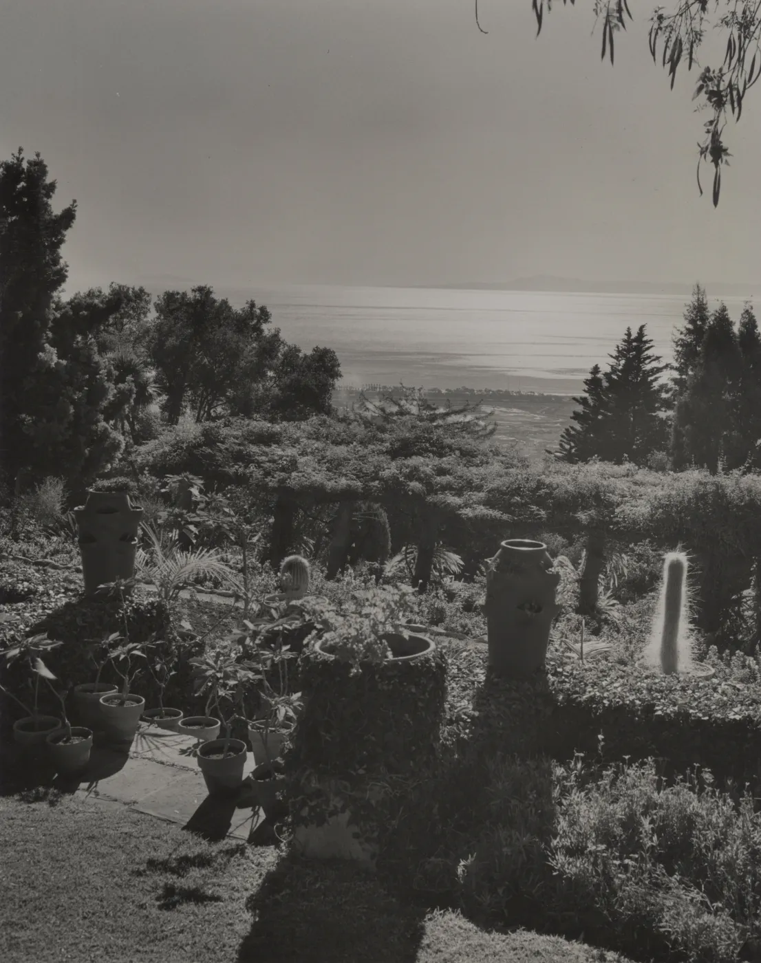 © Josef Muench