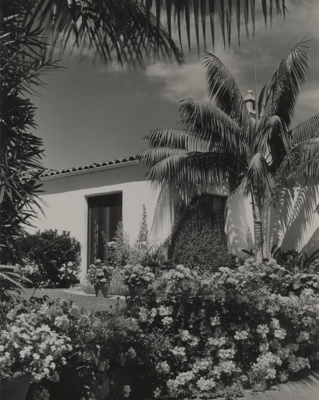 © Josef Muench